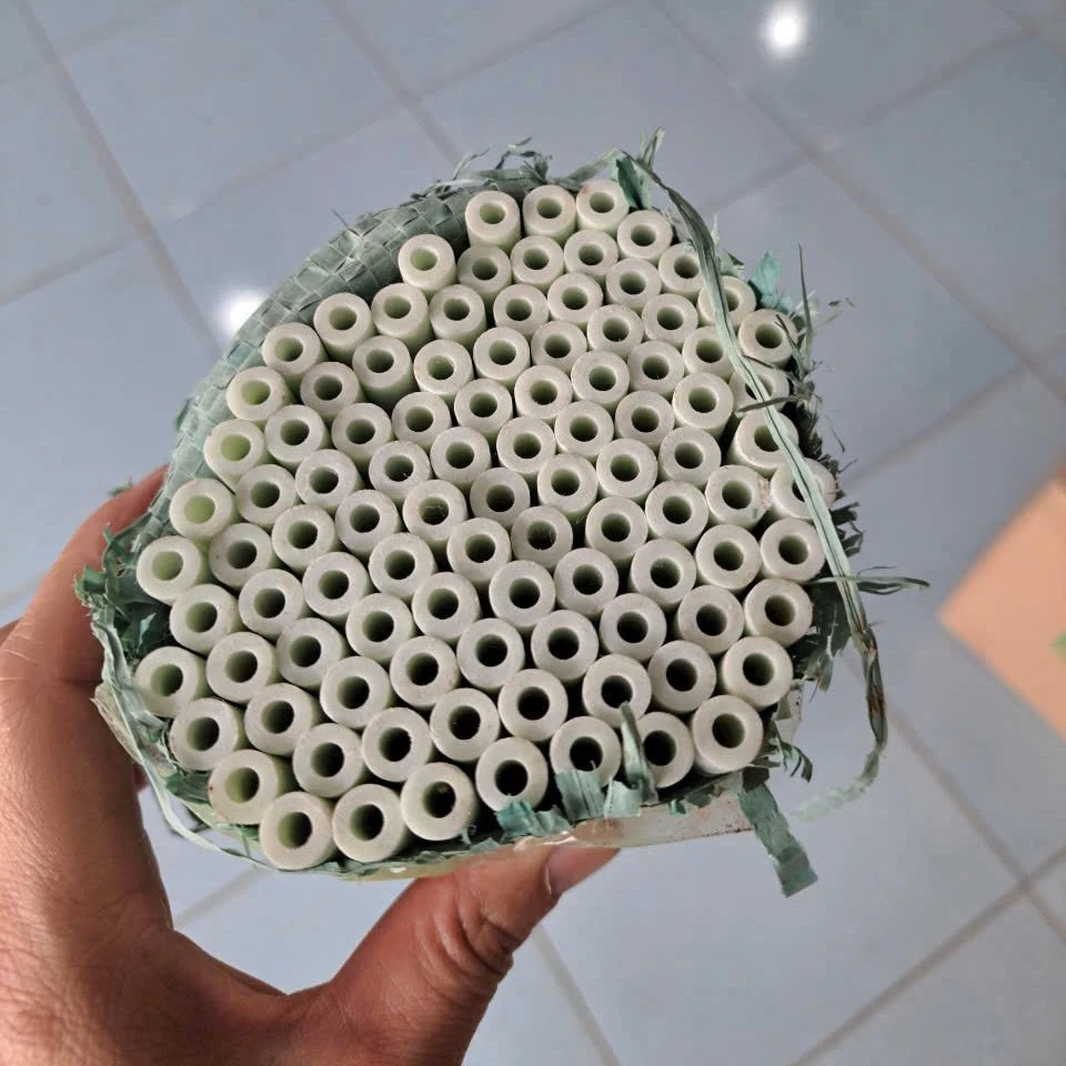 Cây cắm thủy tinh 4 x 8